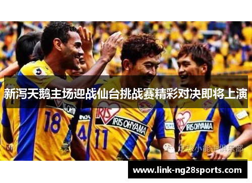 新泻天鹅主场迎战仙台挑战赛精彩对决即将上演